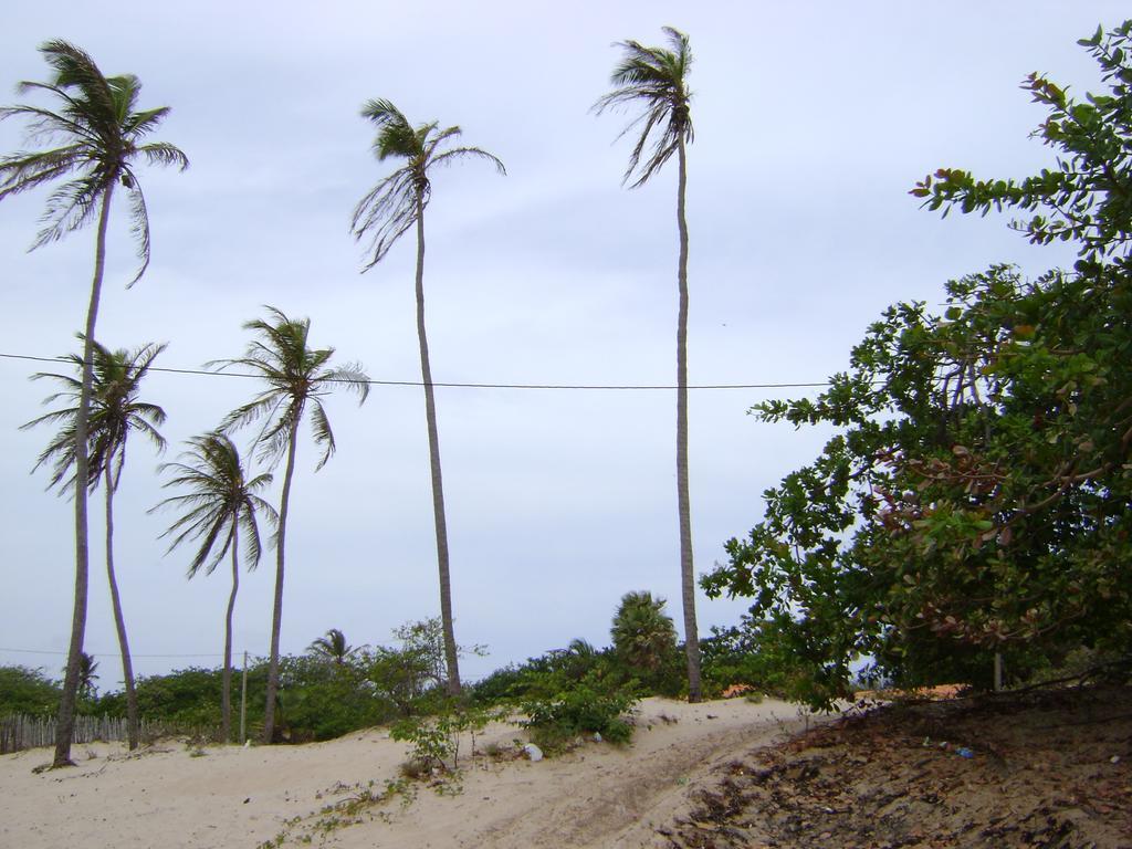 Pousada Paraiso Das Canárias Екстериор снимка